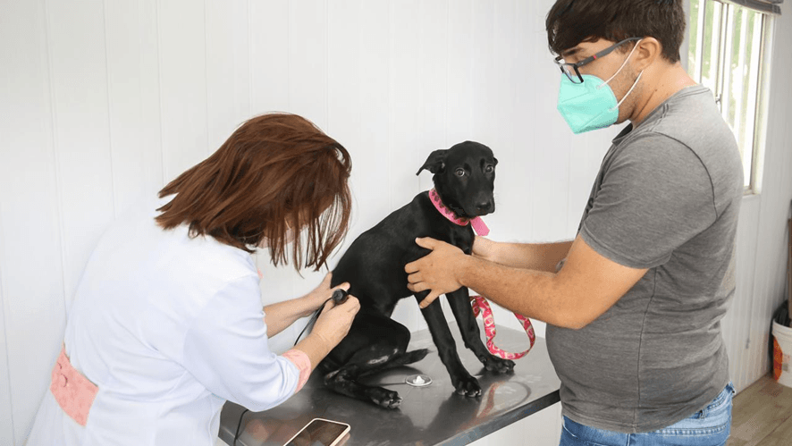 VetMóvel oferece serviços veterinários no estacionamento do RioMar Kennedy