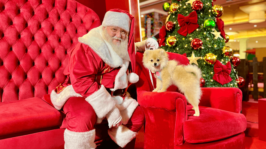 Papai Noel atende tutores com pets no RioMar Fortaleza e RioMar Kennedy