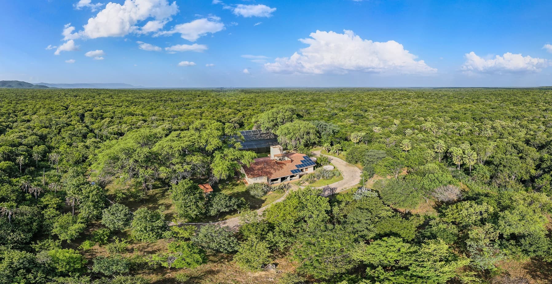 Diversão e aprendizado em meio à natureza: julho é o mês perfeito para descobrir as riquezas da Caatinga