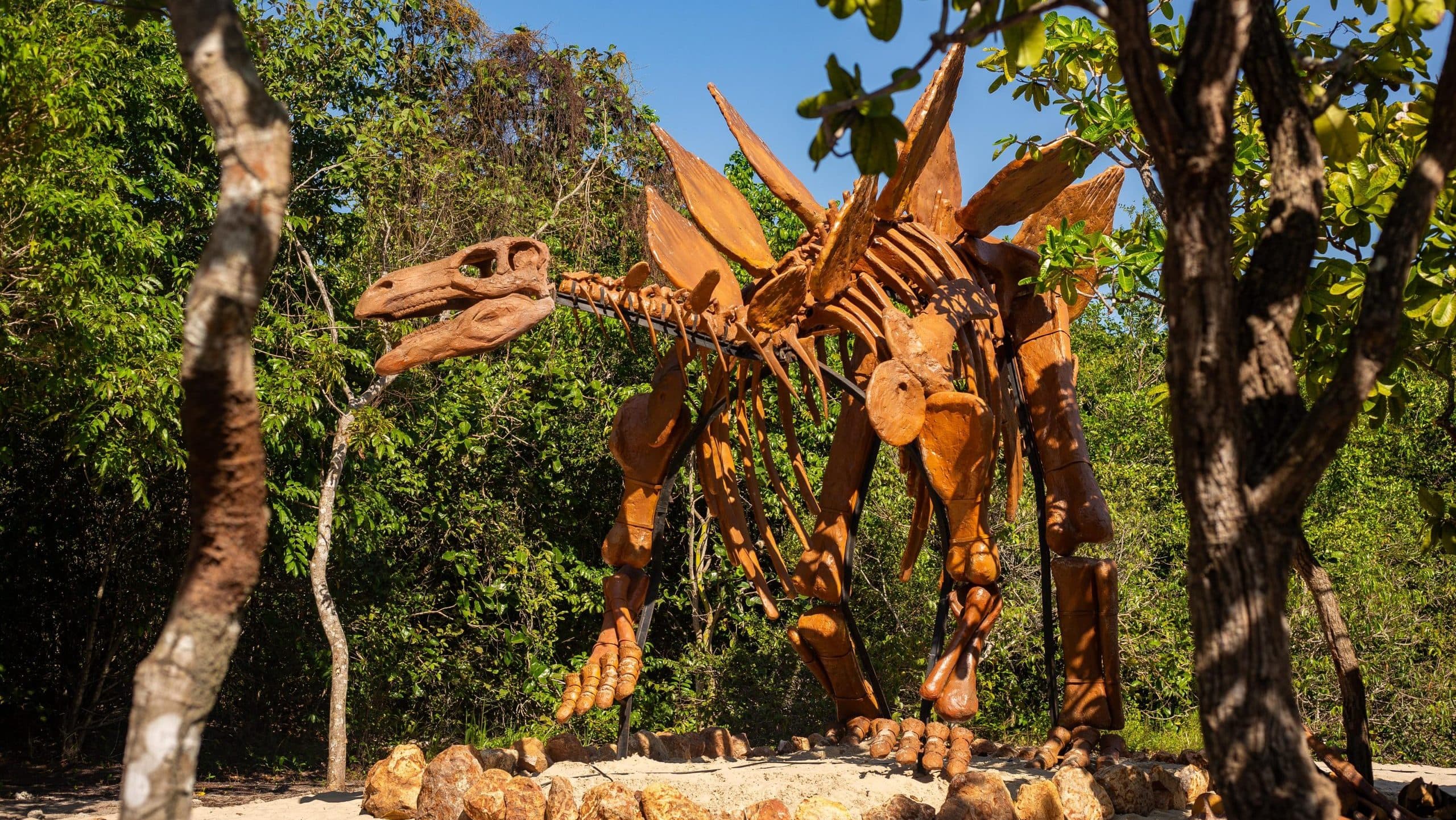Ceará ganha novo parque de dinossauros com réplicas que chegam até 38 metros de cumprimento