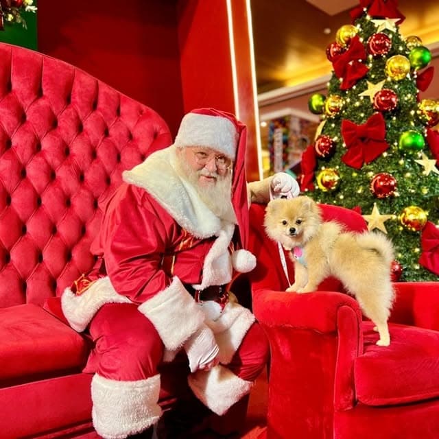 🎅🐶 Natal também é para os pets! Os shoppings RioMar Fortaleza e RioMar Kennedy prepararam o Trono Pet, um espaço pet friendly para eter...